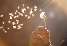 LOS PRIMEROS Y LOS ÚLTIMOS Los últimos y los primeros