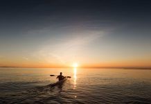 EL POR QUÉ DE LA VIDA El por qué de la vida