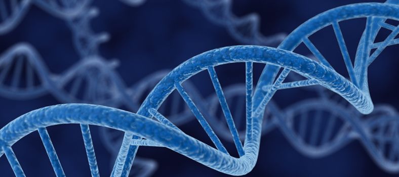 VIDA HUMANA ¿Origen Material o Espiritual?