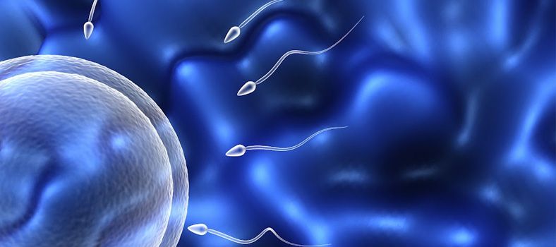 Reproducción y psiquismo perinatal
