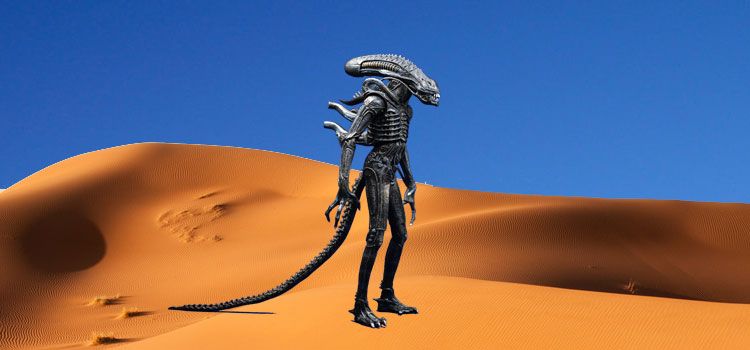 ¿HAY EXTRATERRESTRES NEGATIVOS?