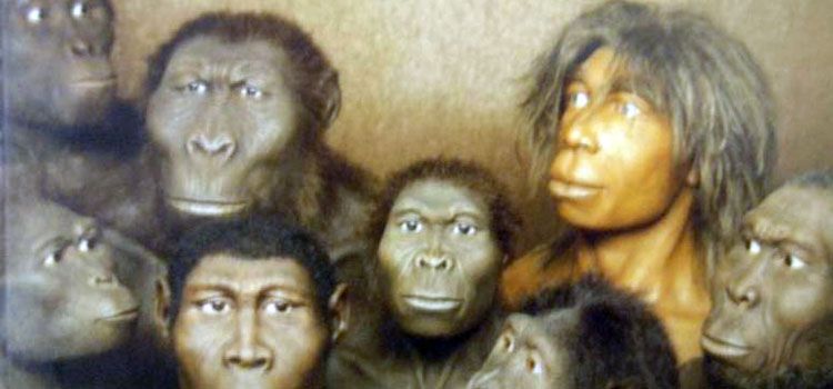 naturaleza-y-evolucion