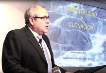 INMORTALIDAD Y CLONACIÓN INMORTALIDAD Y CLONACIÓN