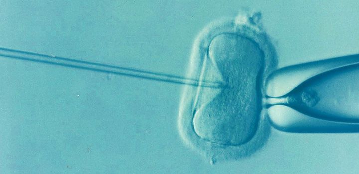 inseminacion Gestación Subrogada