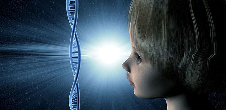 espiritu-inteligencia Inteligencia y Espíritu