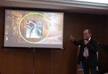 INTELIGENCIA Y LIBRE ALBEDRÍO