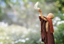 EMOCIONES: ¿LA BONDAD MEJORA NUESTRA SALUD?