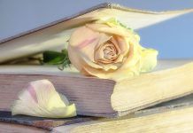 LA CARIDAD: PRINCIPIO UNIVERSAL La caridad, ¿Cómo, cuándo, y dónde?