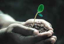 EL DESARROLLO DE LA PERSONALIDAD Desarrollo de la personalidad