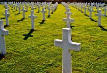EDUCACIÓN PARA LA MUERTE Educación para la muerte