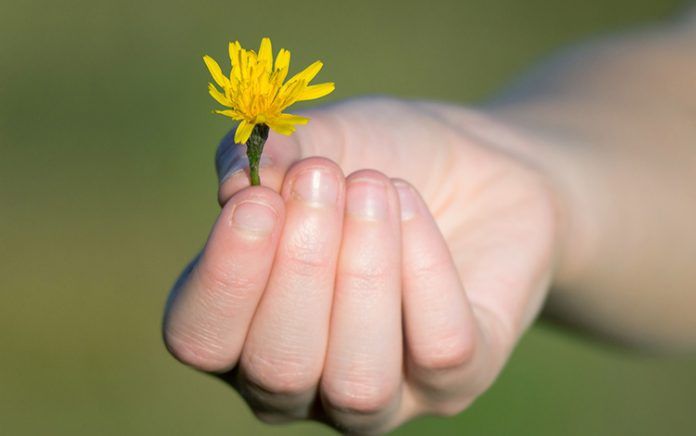 Gratitud: Condición del ser humano