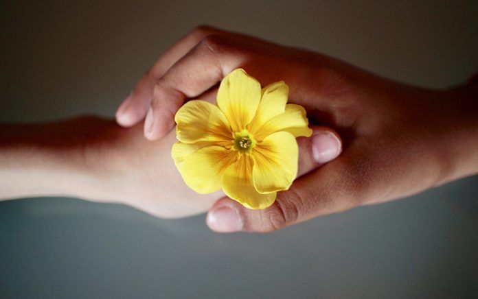 Cómo se desarrollan los sentimientos