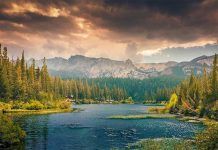MÁS DE LA NATURALEZA Más de la naturaleza