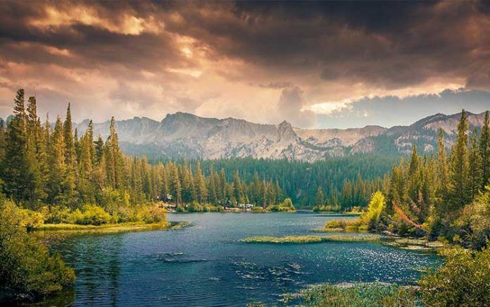 Naturaleza Más de la naturaleza