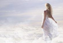 ¿TENEMOS UN ALMA INMORTAL? ¿Tenemos un alma inmortal?