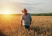 REFLEXIONES SOBRE EL TRABAJO Reflexiones sobre el trabajo