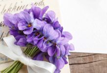 EL RAMO DE VIOLETAS El ramo de violetas