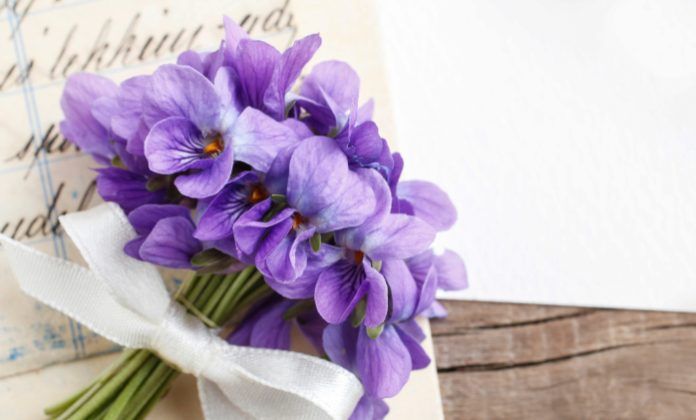 El ramo de violetas