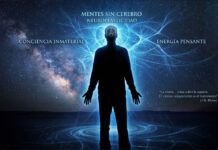 MENTES SIN CEREBRO Mentes sin cerebro